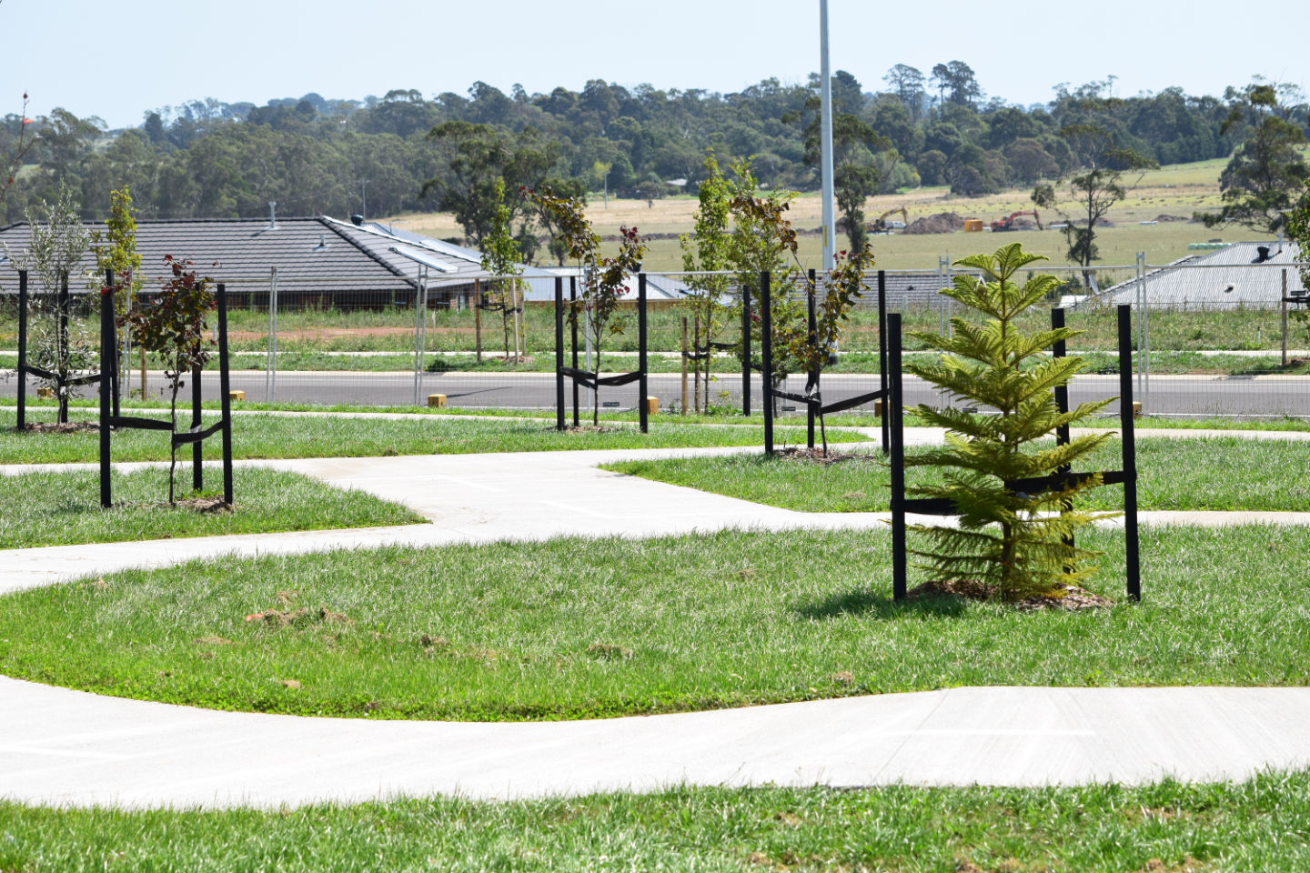 Autumn at Ferntree Ridge, Drouin